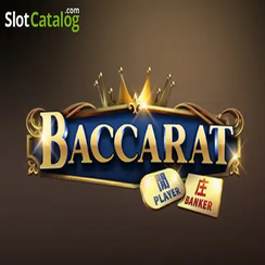 777bet cash ব্যাকারেট C08